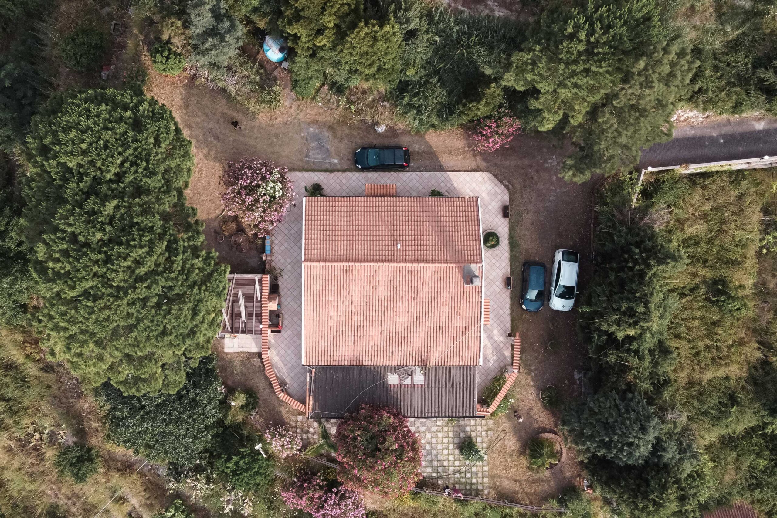Casa con pergola e veranda vicino albero di oleandro